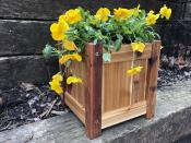 Click to enlarge image 10" Square Western Red Cedar Box - Western Red Cedar Planter Boxes - Square and Rectangular Planter Boxes!