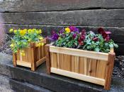 Click to enlarge image Small Square and Medium Rectangular Western Red Cedar Box - Western Red Cedar Planter Boxes - Square and Rectangular Planter Boxes!